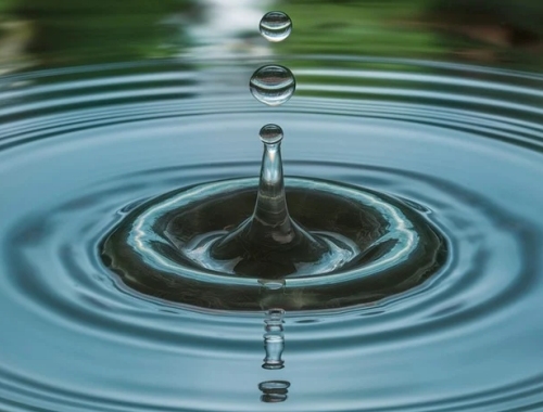 涉水产品检测结果如何解读？